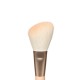 COMPLEXION BRUSH SET