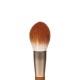 COMPLEXION BRUSH SET