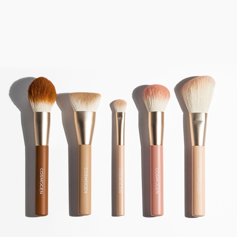 COMPLEXION BRUSH SET